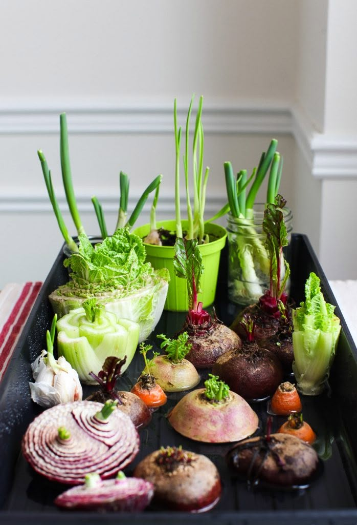 an assortment of vegetables are displayed on a tray