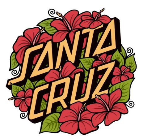 the word santa cruz surrounded by flowers and leaves