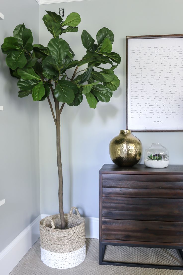 a potted plant sitting on top of a wooden dresser