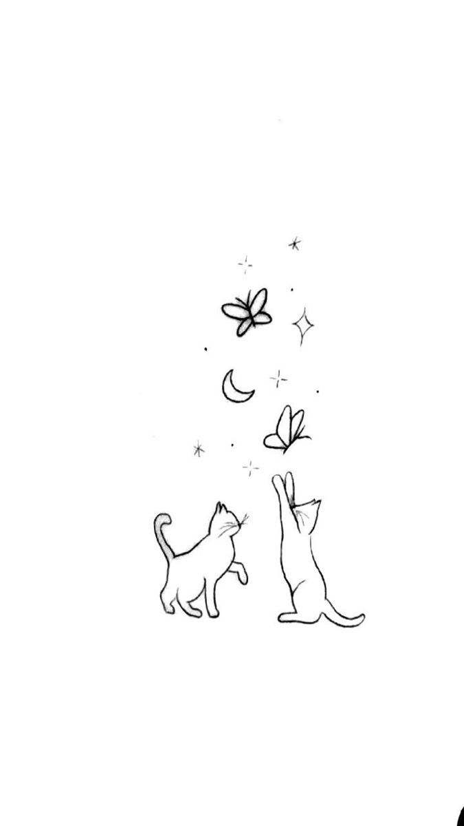 two cats playing with each other on a white background and one cat is looking up at the sky