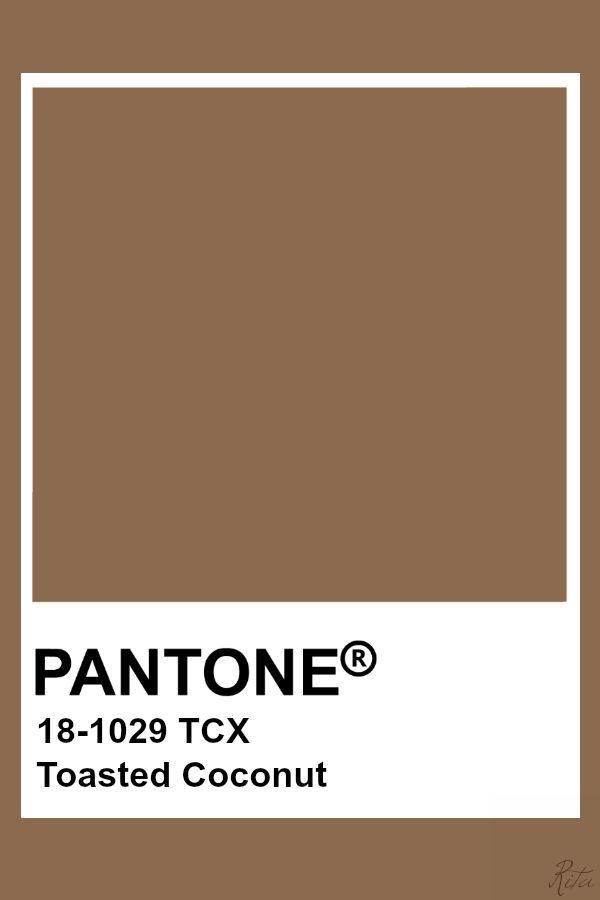 the pantone color is brown and has a white rectangle on top of it