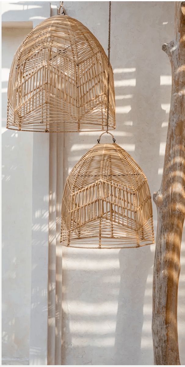 two hanging bird cages next to a tree in front of a white wall with shadows on it