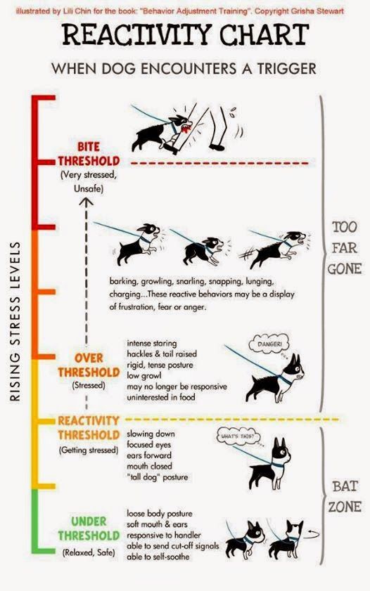 a diagram showing how to use the dog's tail as a guide for its owner