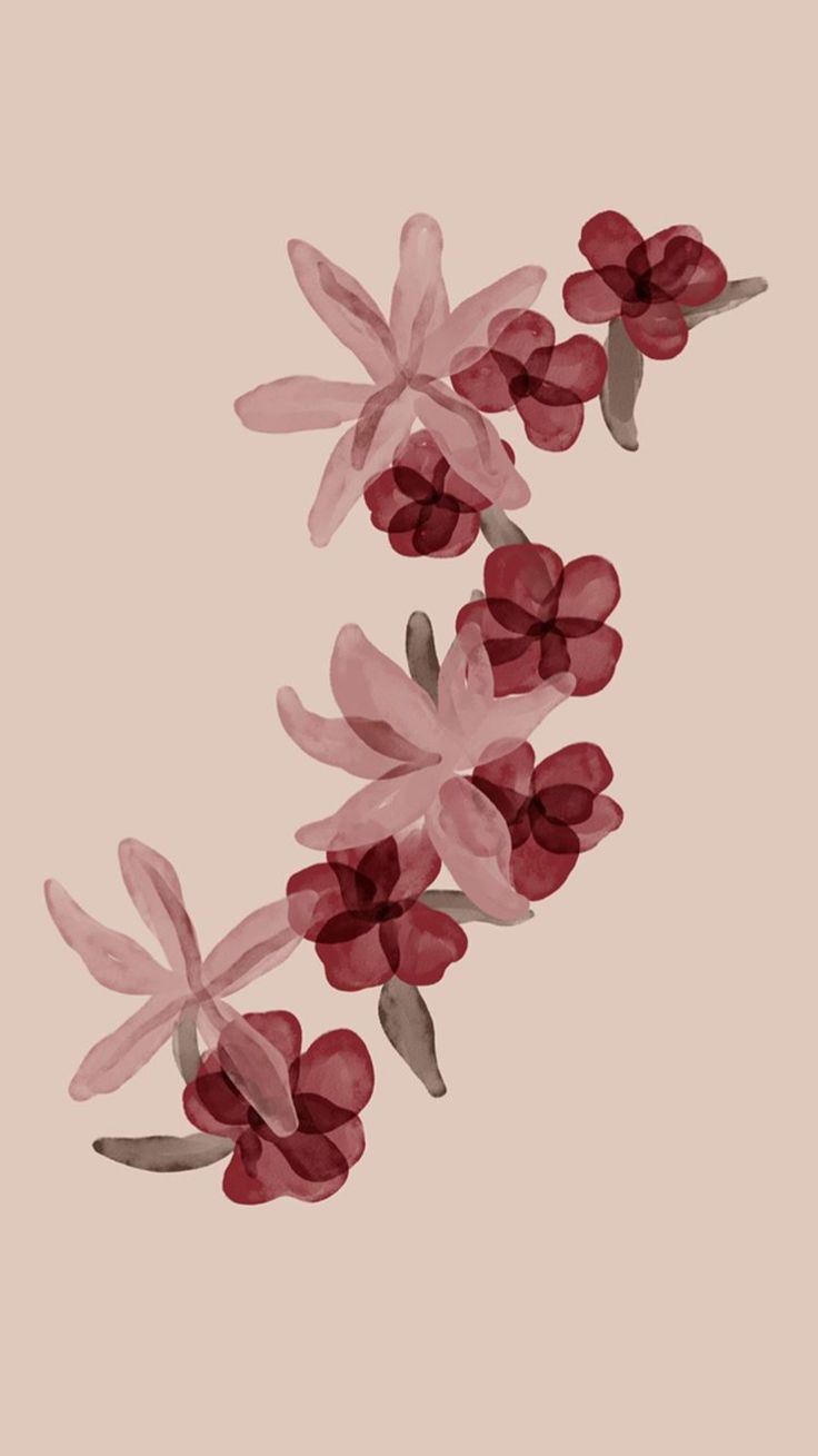 some red flowers are on a pink background