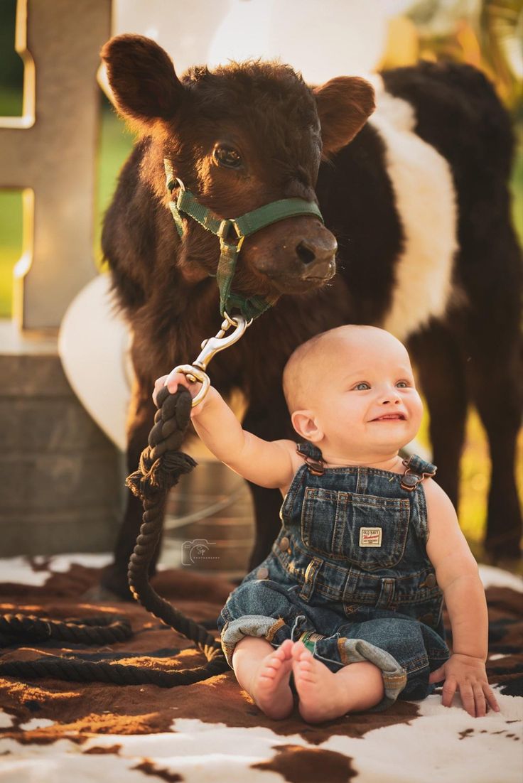 a baby sitting on the ground next to a cow with a rope in its mouth