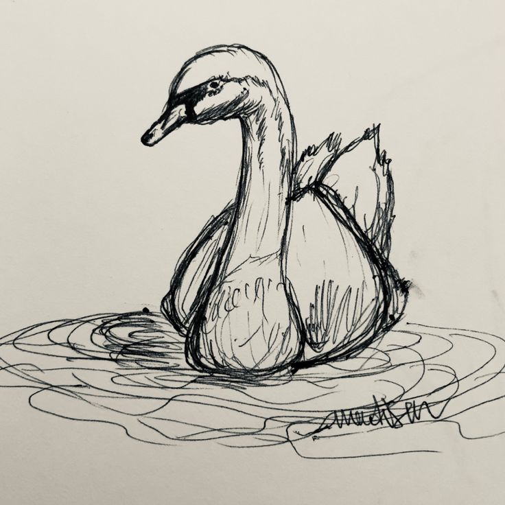 a black and white drawing of a duck in water