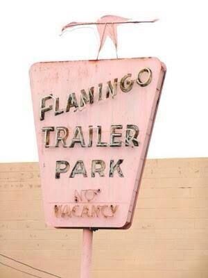 a pink sign that says flamingo trailer park no wacky on it's side