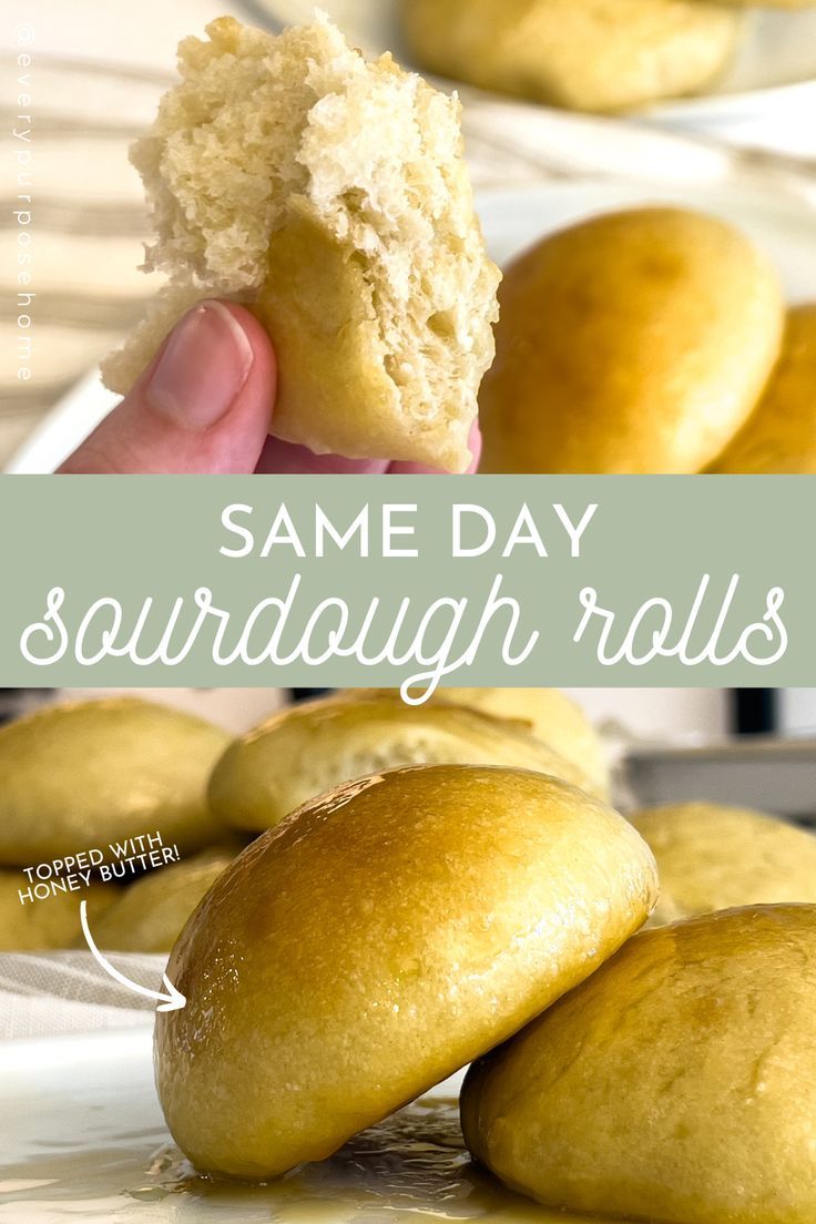 same day sourdough rolls on a plate Buttermilk Sourdough Recipes, Herman Starter Recipes, Quick Sourdough Rolls, Rolls For Dinner, Same Day Sourdough, Fluffy Rolls, Sourdough Dinner Rolls, Recipe Using Sourdough Starter, Sourdough Rolls