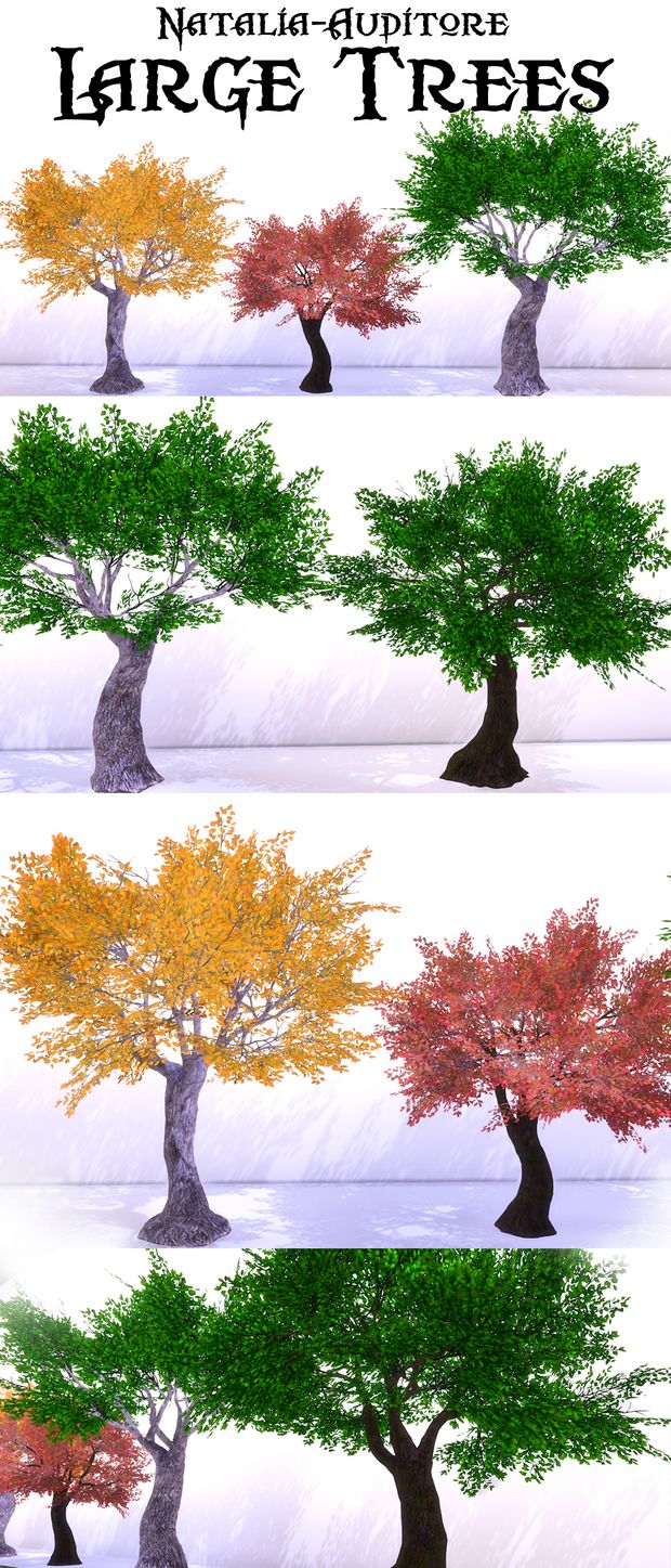 four different types of trees in various colors and sizes, with the names of each tree