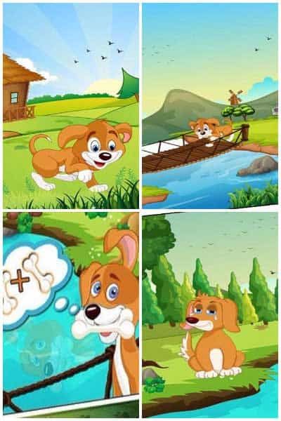 four different scenes of dogs playing in the water