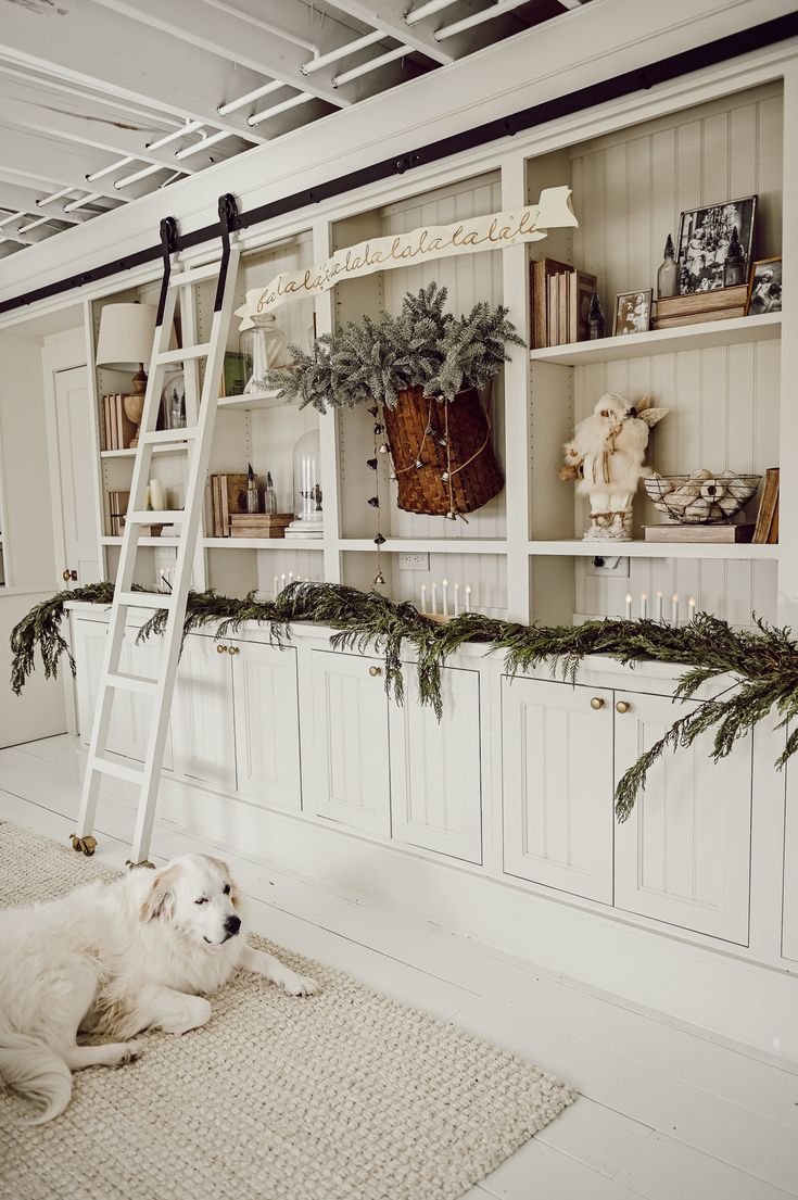 a white dog laying on the floor next to a ladder