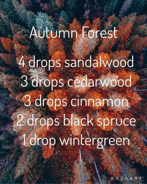 Diy Deodorizer, Fall Diffuser Blends, Essential Oil Perfumes Recipes, Essential Oil Combinations, Essential Oil Diffuser Blends Recipes, Perfume Recipes, Essential Oils Guide, Oil Remedies, Essential Oil Diffuser Recipes