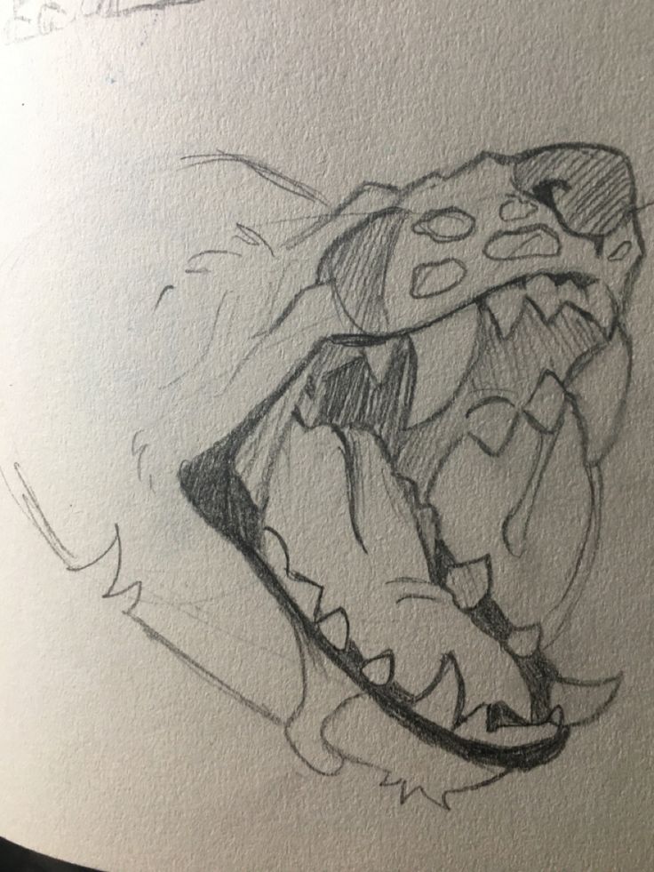 a drawing of an animal's mouth with sharp teeth