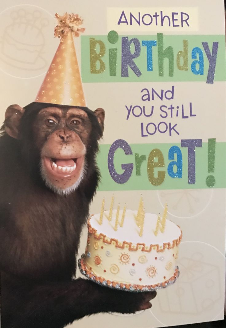 a monkey holding a birthday cake with the words, another birthday and you still look great