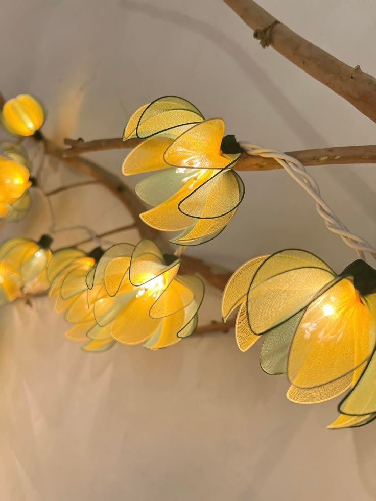 yellow flowers are hanging from a branch with lights