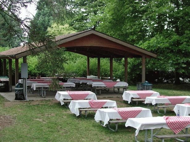 tables and chairs are set up for an outdoor event in the park with red and white checkered tablecloths