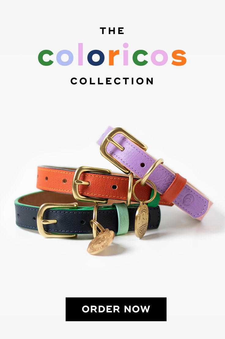 Colorful Leather Dog Collars with Brass Hardware Luxury Pet Collars, Cute Leather Dog Collars, Dog Choker Collar, Personalized Leather Dog Collar, Yellow Dog Collar, Cute Dog Collars, Colored Leather, Leather Collar, Dog Collars