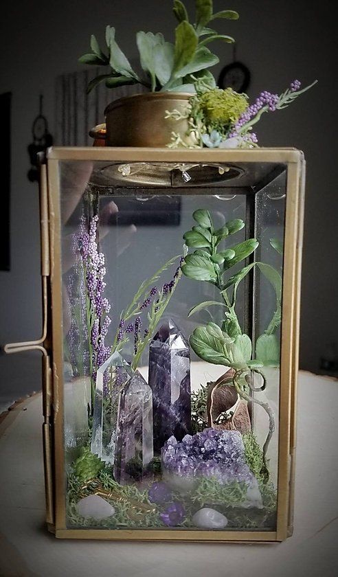 a glass box with plants and rocks in it sitting on a table next to a potted plant