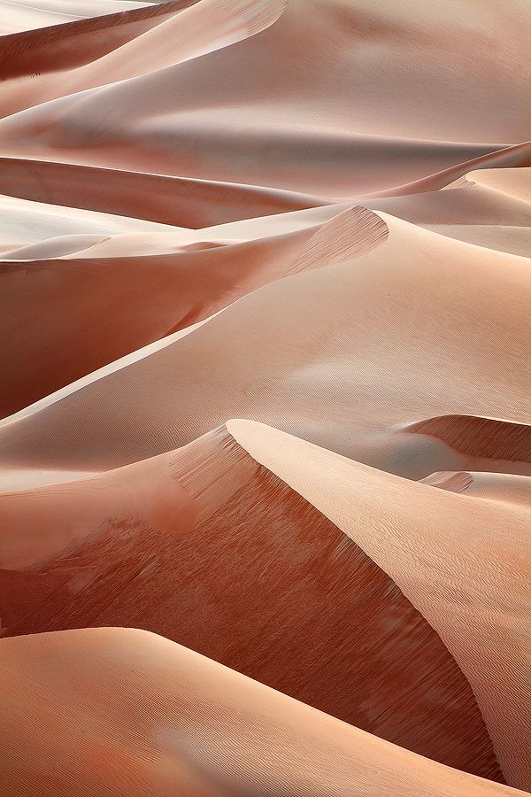 sand dunes in the sahara desert at sunset