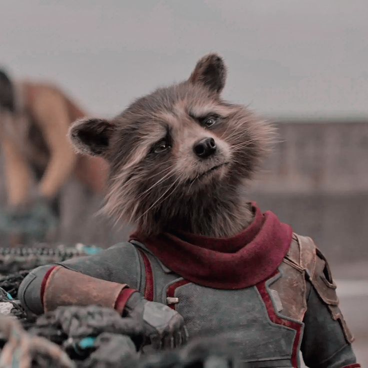 a raccoon wearing a leather jacket and scarf