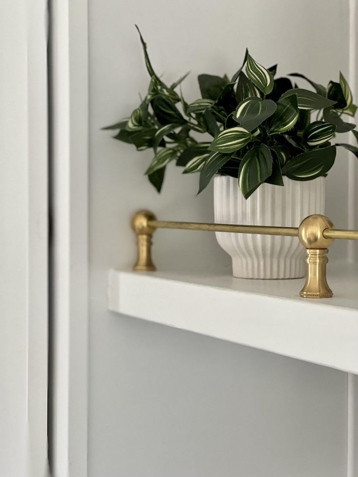 a potted plant sitting on top of a white shelf next to a gold handle