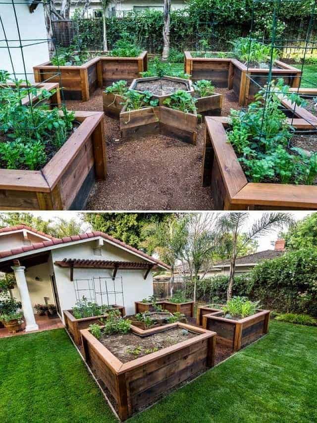 an outdoor garden with raised wooden planters