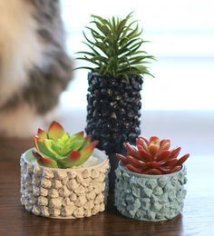 two small pots with plants in them sitting on a table next to a gray cat