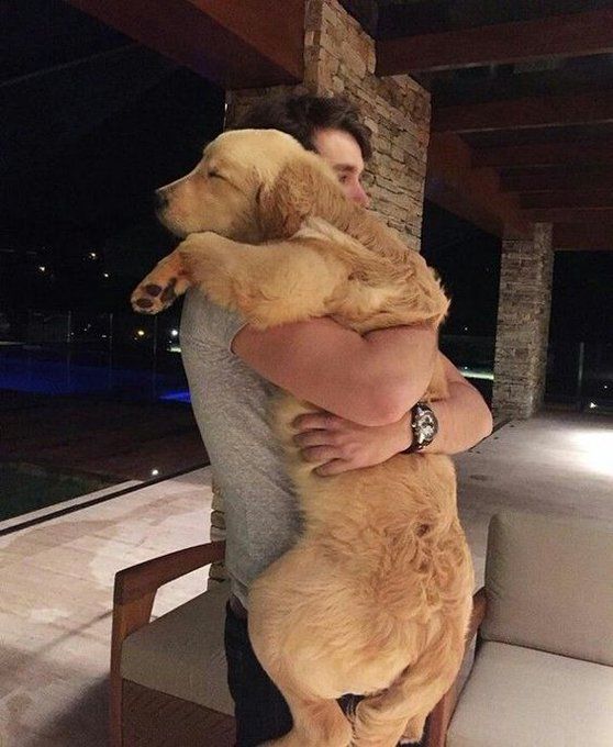 a woman holding a large brown dog in her arms