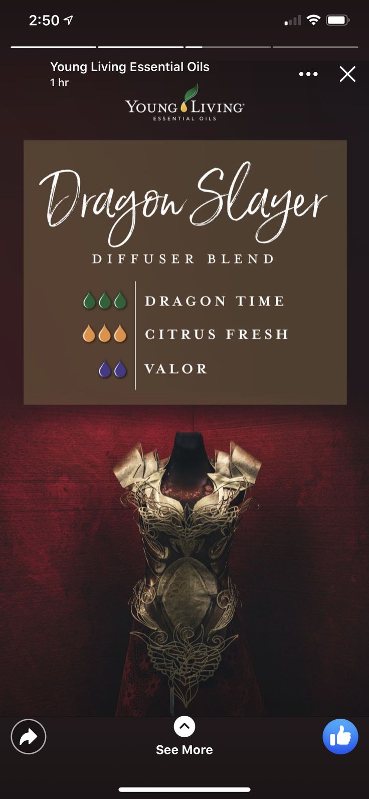 Dragon Time, Dragon Day, Young Living Diffuser, Young Living Essential Oils Recipes, Essential Oil Diffuser Recipes, Oil Diffuser Recipes, Diffuser Recipes, Oil Blends, Dragon Slayer