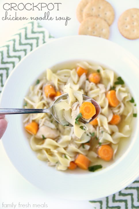 a person holding a spoon full of chicken noodle soup with carrots and parsley