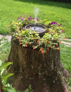 a tree stump with flowers growing out of it in the middle of a garden area