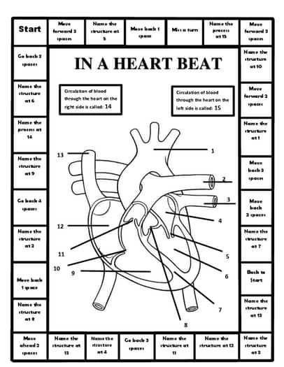 the heart diagram with labels on it for students to learn how to read and draw