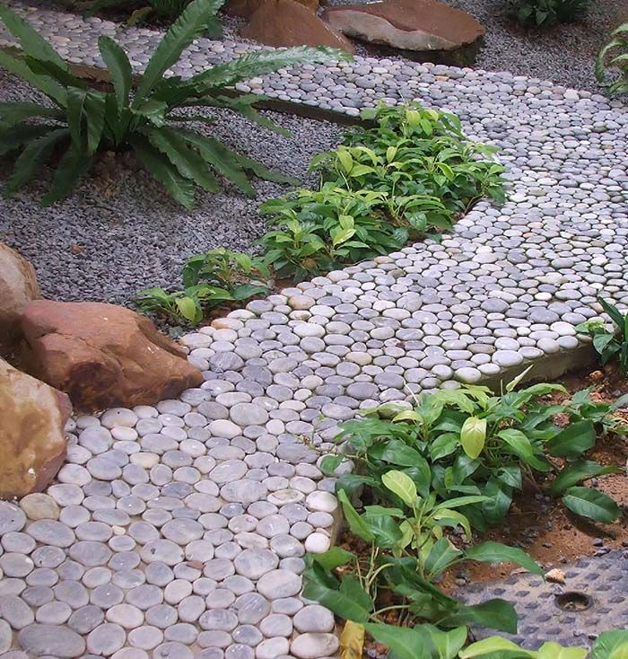 an image of a garden setting with rocks and plants