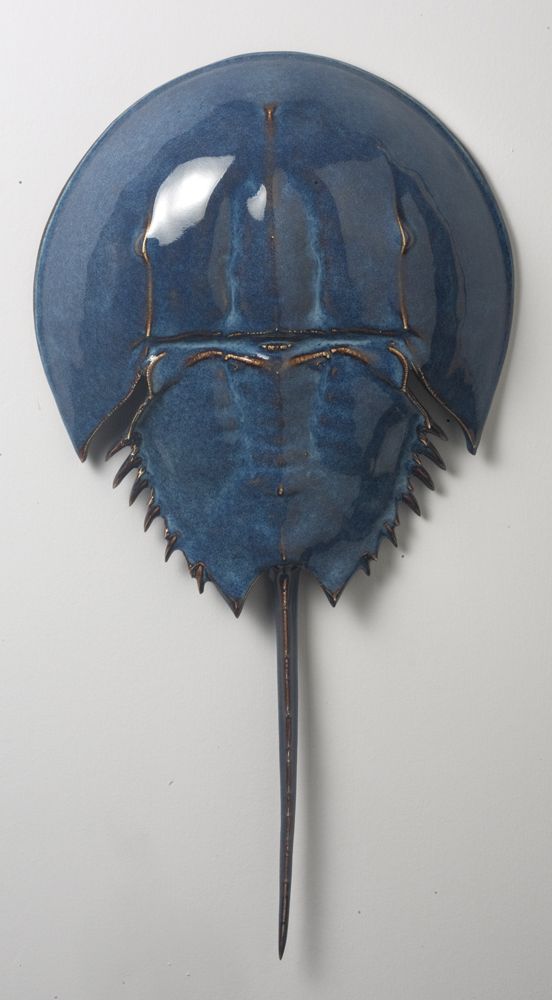 a blue plate that has some kind of animal's head on it, hanging from the wall