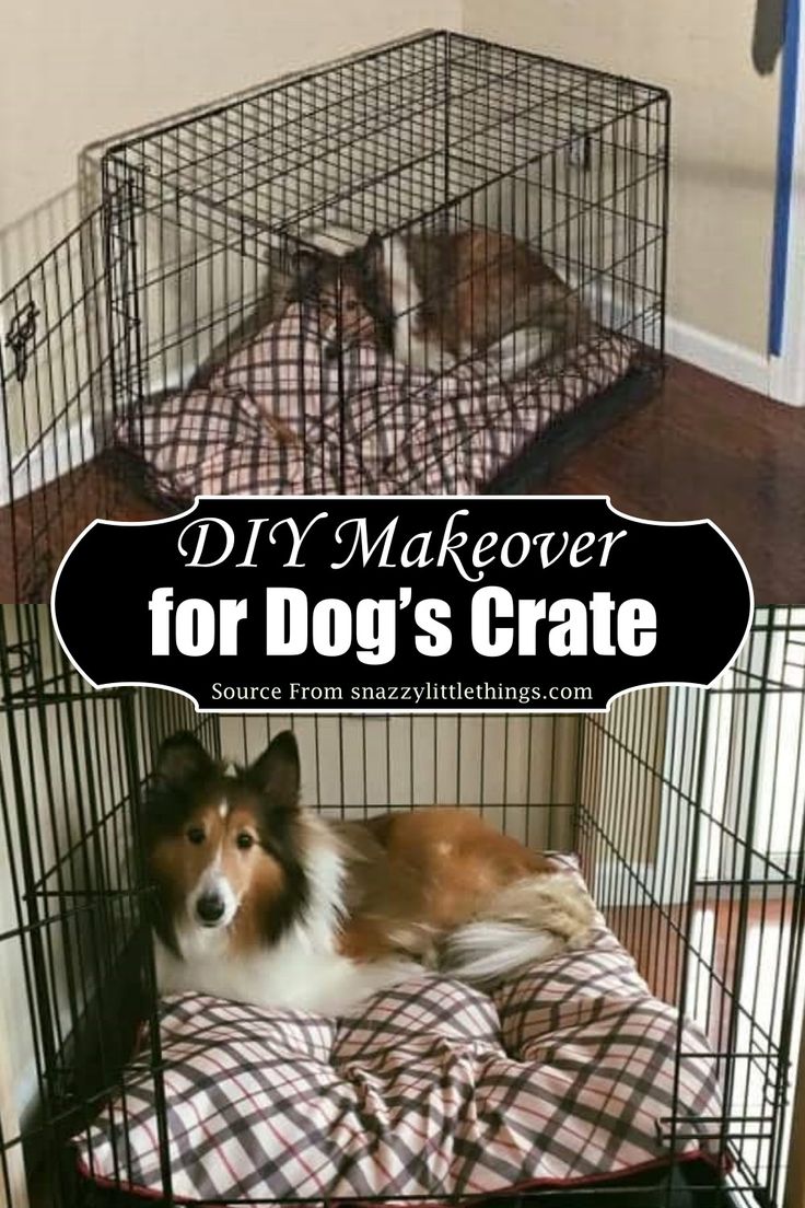 a dog is laying in its cage with the words diy makeover for dogs crate