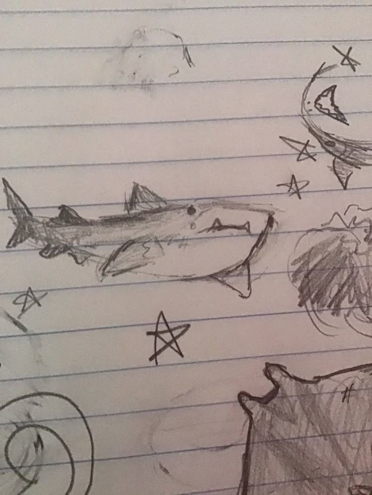 sketches of shark and other animals on lined paper