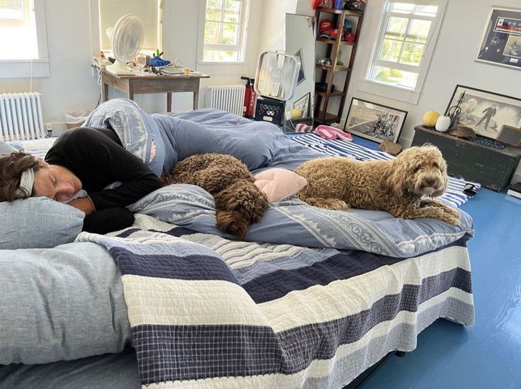 two women laying in bed with their dogs on top of the bedspreads