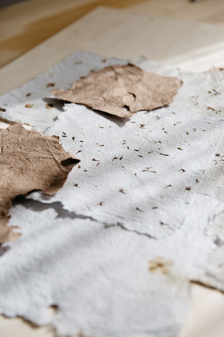 a piece of paper with some brown leaves on it