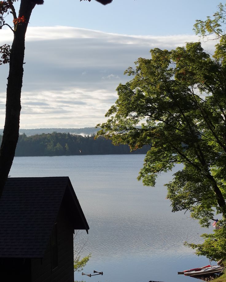 there is a tree that is next to the water and some boats are in the water