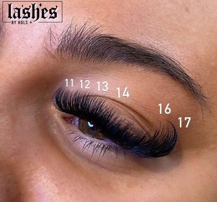 Eyelash Extensions Hybrid Styles, Lashes Extensions With Numbers, Cat Eye Mapping Eyelash Extensions, Cat Eye Lash Extensions Map, Lash Sets With Mapping, Mega Volume Lash Extensions Mapping, Cat Eye Lash Map, Short Full Lash Extensions, Full Eyelashes Extensions