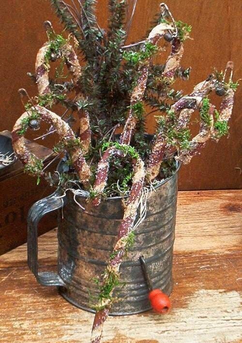 a potted plant sitting on top of a wooden table next to a metal watering can