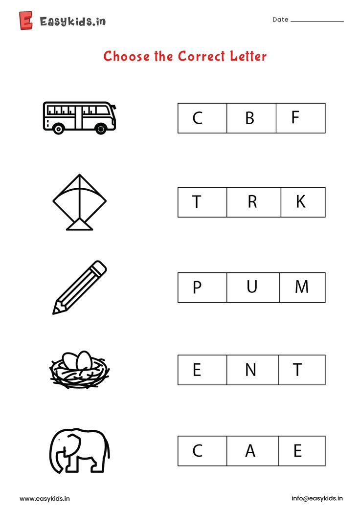 worksheet for the correct letter in english with pictures and words to choose from