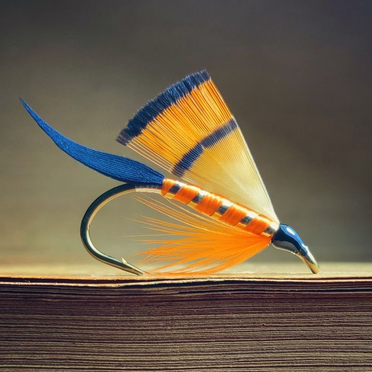 an orange and blue fly sitting on top of a book with it's tail sticking out