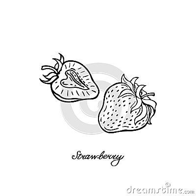 hand drawn strawberries and strawberrys