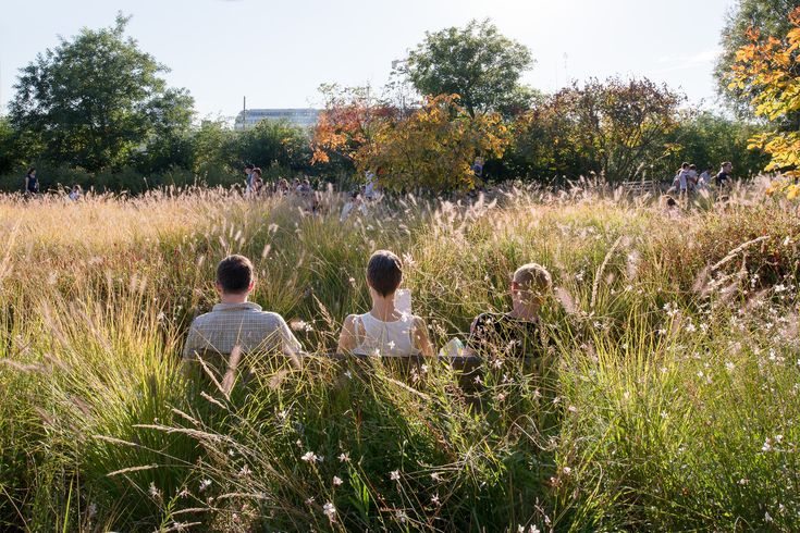 two people are sitting in the tall grass