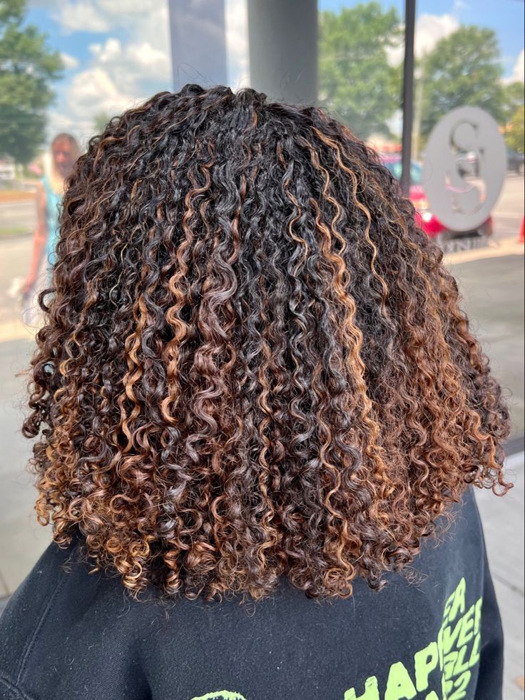 Curly Hair Highlights Type 4, Afro Hair With Highlights, Highlights On 4b Curly Hair, Brown Highlights On Black Hair Curly 4c, Coily Hair Highlights, Highlight Curly Hair Black Women, Natural Hair With Brown Highlights, Balayage On 4c Hair, Brown Highlights On Black Hair Curly Natural Curls