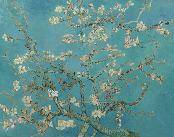 a painting of an almond blossoming tree against a blue sky with white flowers on it