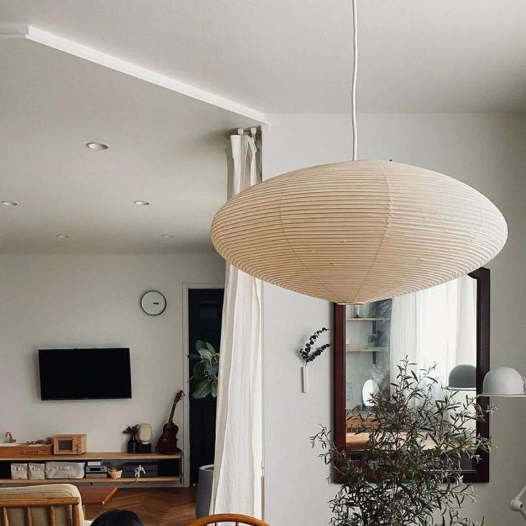 a dining room table with chairs and a potted plant hanging from the ceiling over it