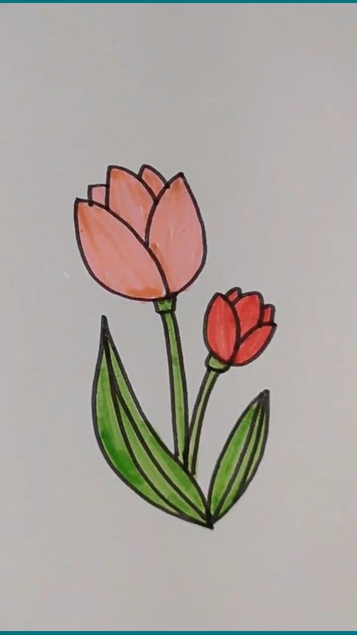 a drawing of two pink flowers with green leaves