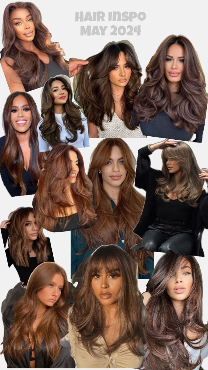 Chestnut Brown w/ Layers Hazelnut Hair, Chestnut Highlights, Law Life, Chestnut Brown Hair, Chestnut Hair, Brown Hair Dye, Hair 2024, Auburn Hair, Chestnut Brown